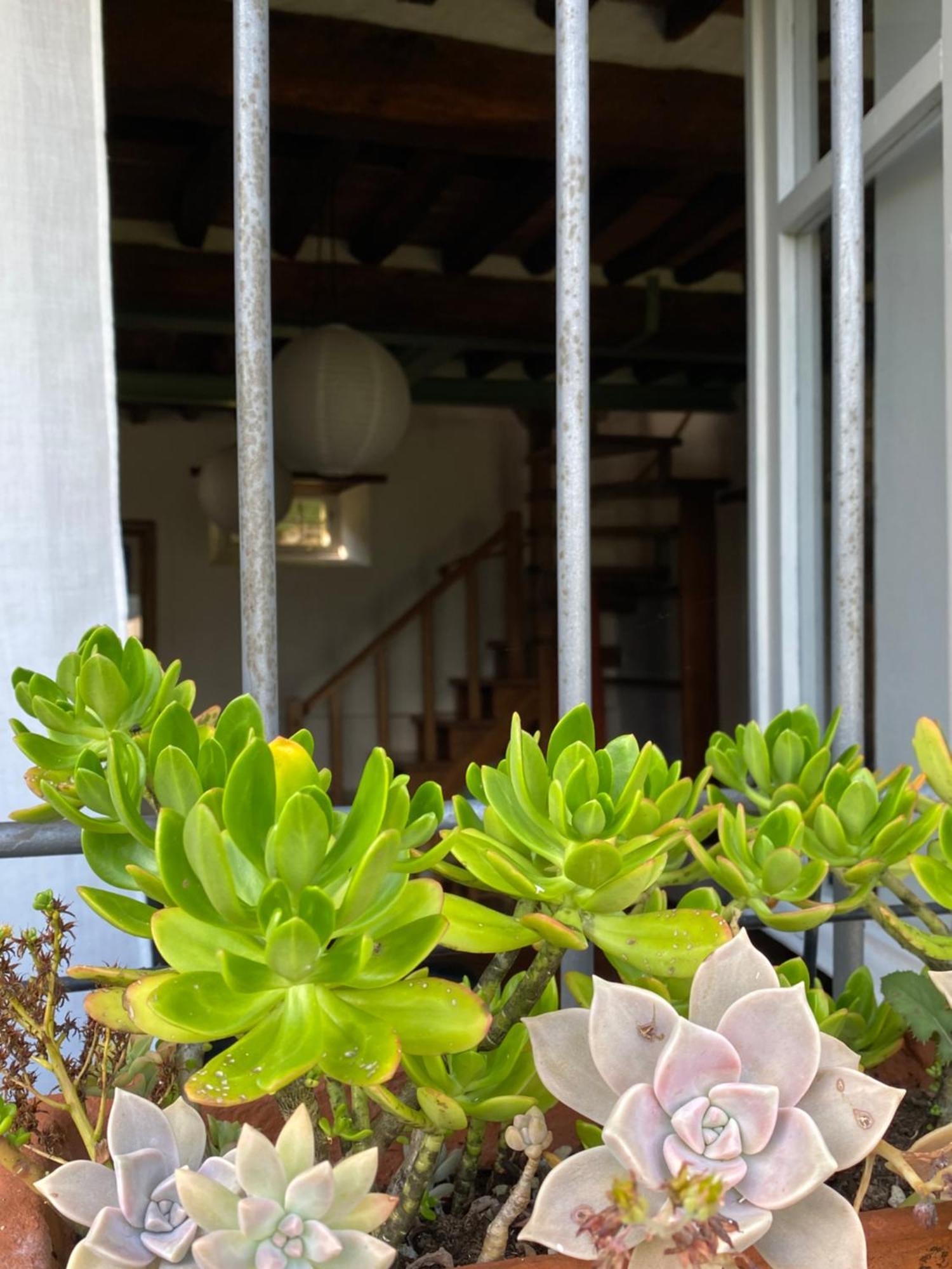 فيلا La Casa In Valli 35 باني دي لوكا المظهر الخارجي الصورة